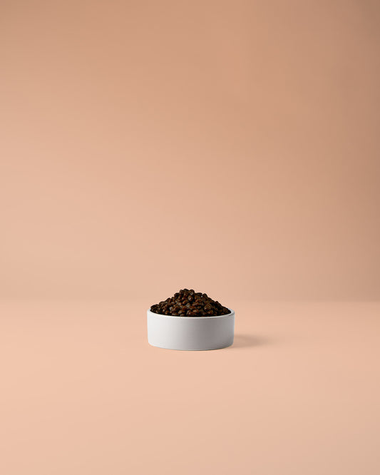 Kleine Kroketten Trockenfutter für Hunde – ideal für kleine Rassen und sensible Verdauung