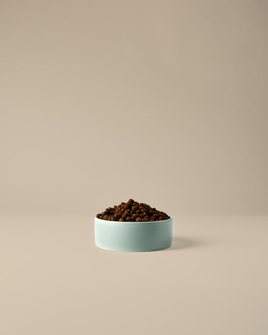 Trockenfutter für Welpen – kleine Kroketten für junge Hunde und leichte Verdauung