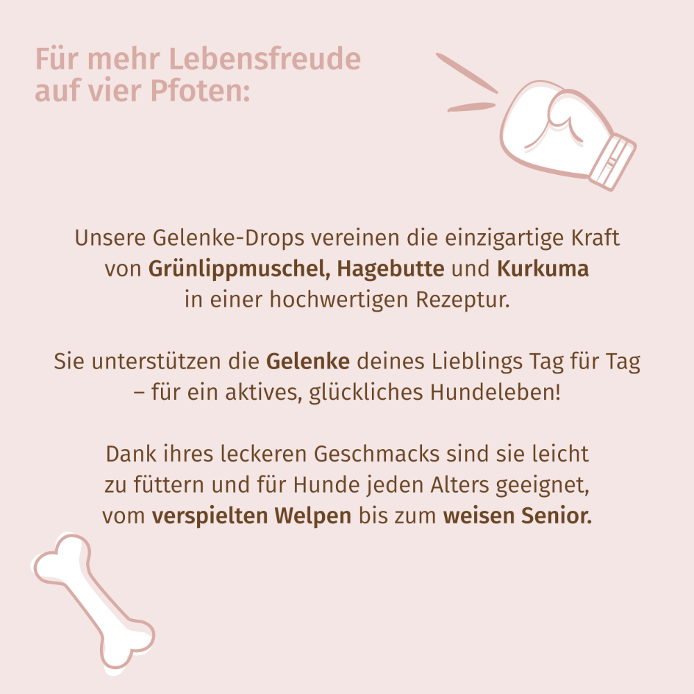 Drops zur Gelenkeunterstützung für Hunde