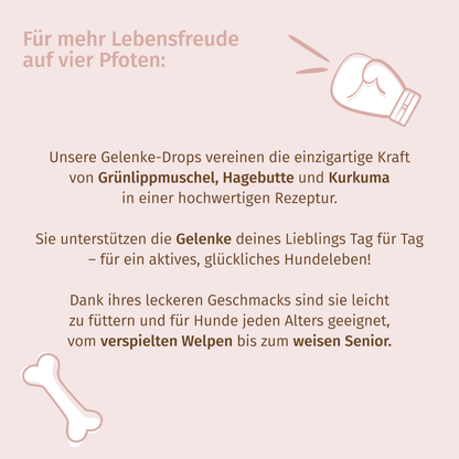 Drops zur Gelenkeunterstützung für Hunde