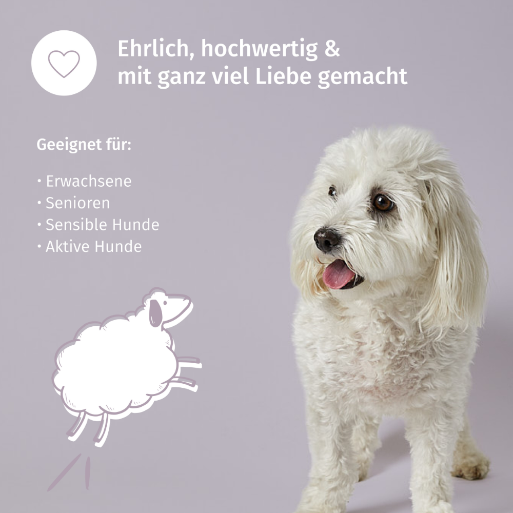 Snack für Hunde – Unterstützung bei Unruhe, Stress und nervösen Situationen