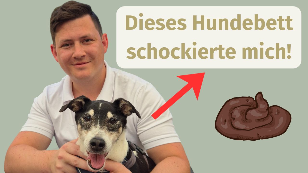 Video laden: Bernhard Lerch mit seinem Jack Russell Terrier erzählt die Gründungsgeschichte von Pfoten Feinstes und warum ehrliches Premium Hundefutter wichtig ist.