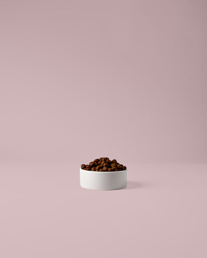 Hundefutter mit Lamm – Single Protein Trockenfutter für empfindliche Hunde