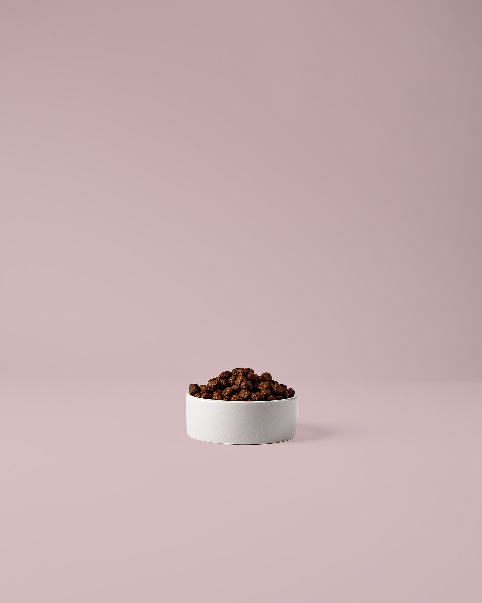 Trockenfutter mit Kaninchen für Hunde – ideal bei sensibler Verdauung und Unverträglichkeiten