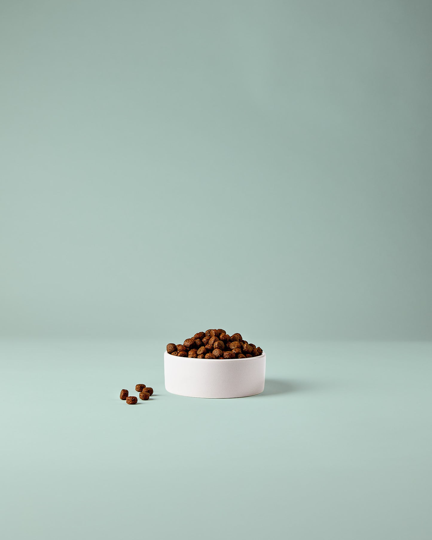 Kaninchen Hundefutter – gut verträglich und geeignet für empfindliche Hunde