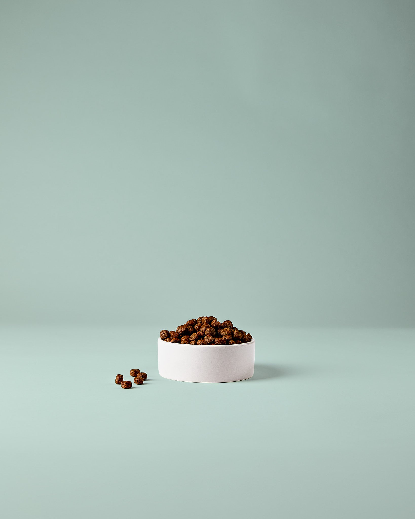 Kaninchen Hundefutter – gut verträglich und geeignet für empfindliche Hunde