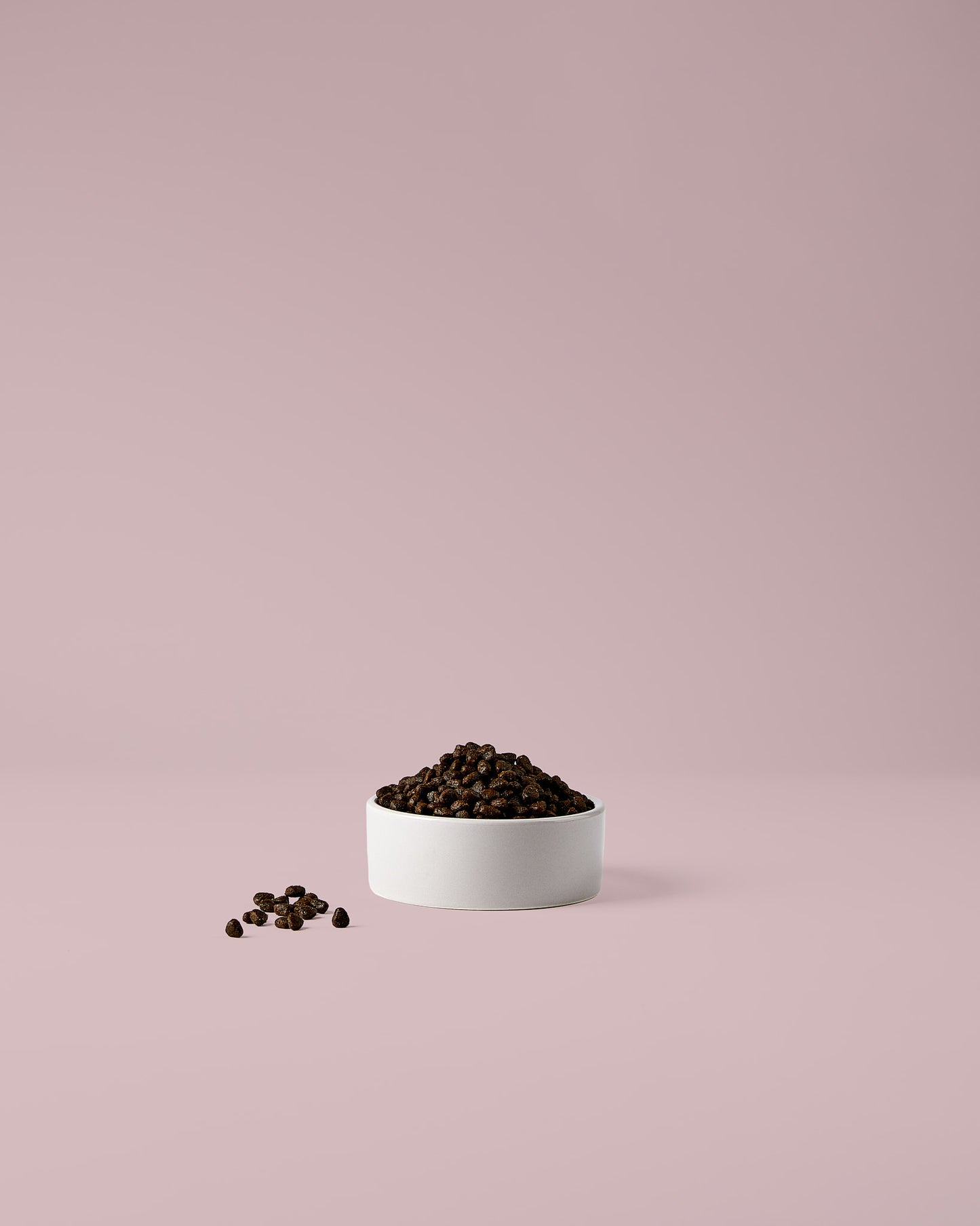 Trockenfutter für kleine Hunde – gut verträglich und leicht verdaulich mit Kaninchen