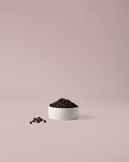 Trockenfutter für kleine Hunde – gut verträglich und leicht verdaulich mit Kaninchen