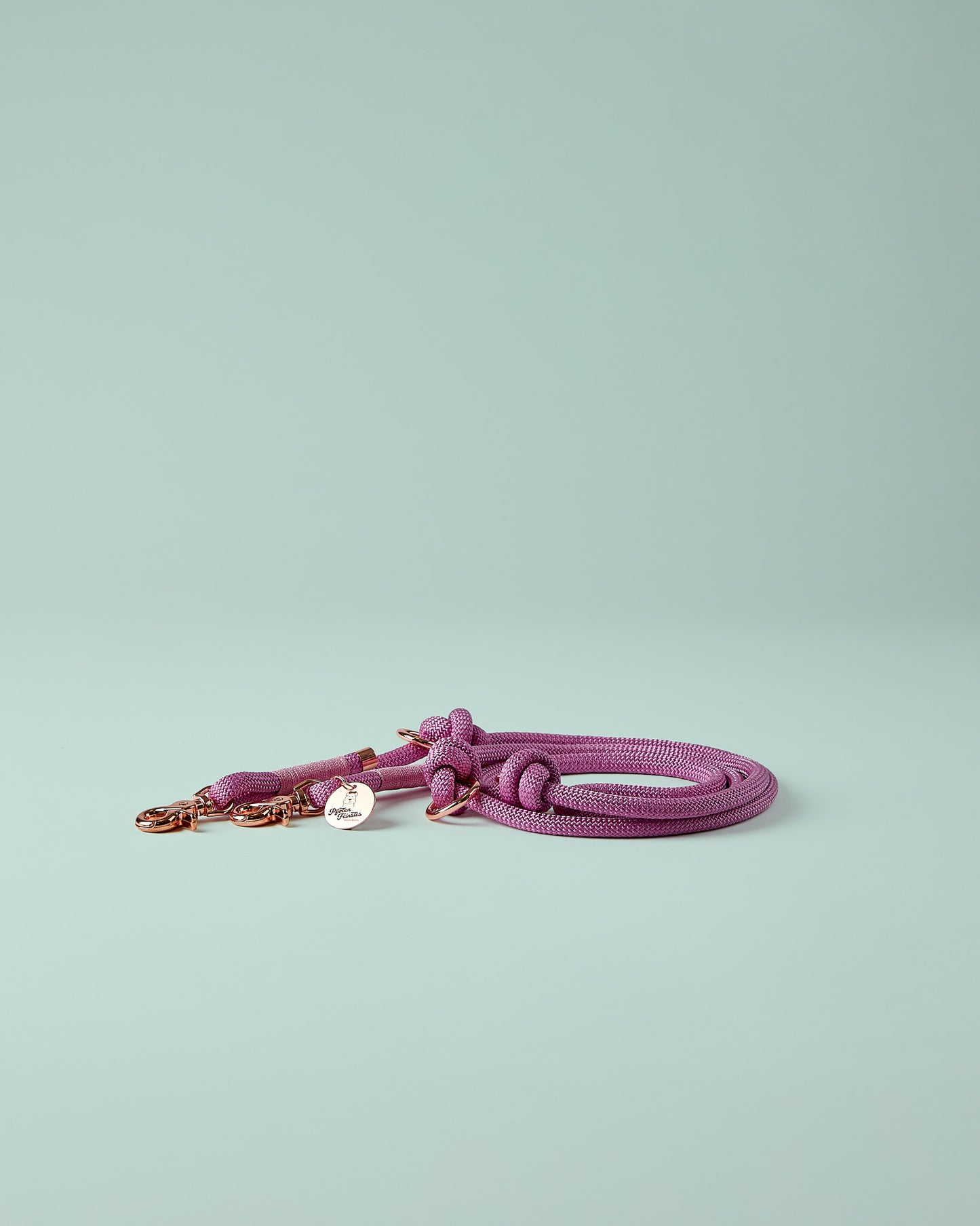 Verstellbare Hundeleine in Rosa mit roségoldenen Beschlägen – elegante Premium-Leine für mittelgroße und große Hunde
