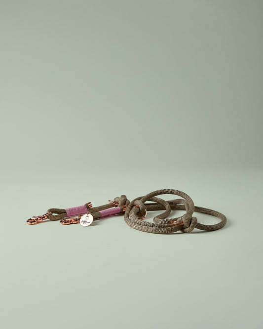 Verstellbare Hundeleine in Beige/Tan mit roségoldenen Beschlägen – elegante Premium-Leine für mittelgroße und große Hunde