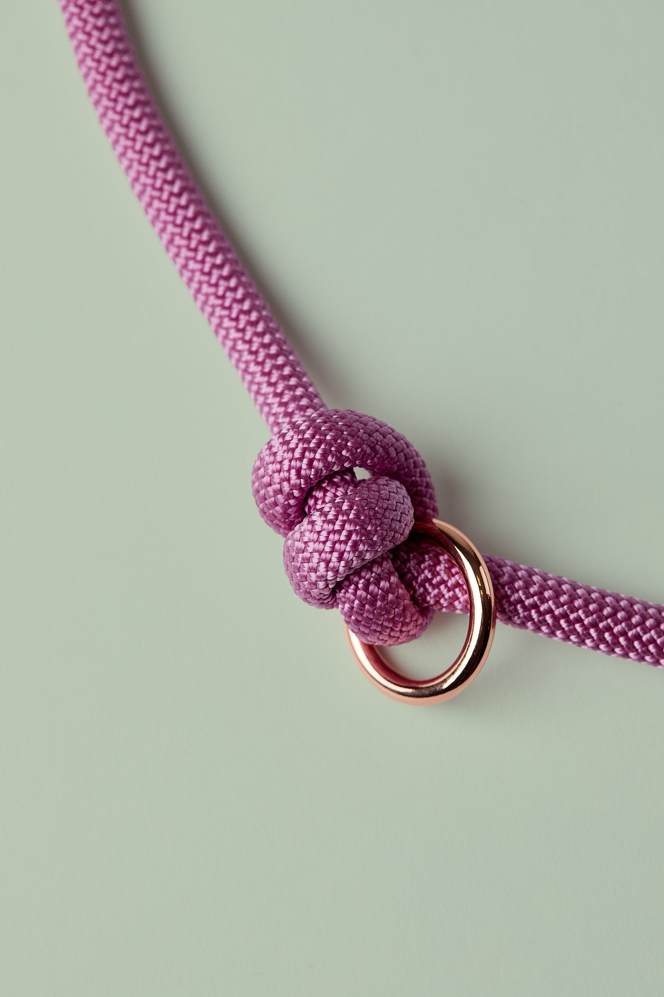 Rosa Hundeleine mit edlen roségoldenen Details – Premium-Leine handgemacht in Österreich