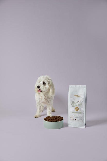 Trockenfutter mit Lamm für Hunde – leicht verdaulich und ideal bei sensibler Verdauung