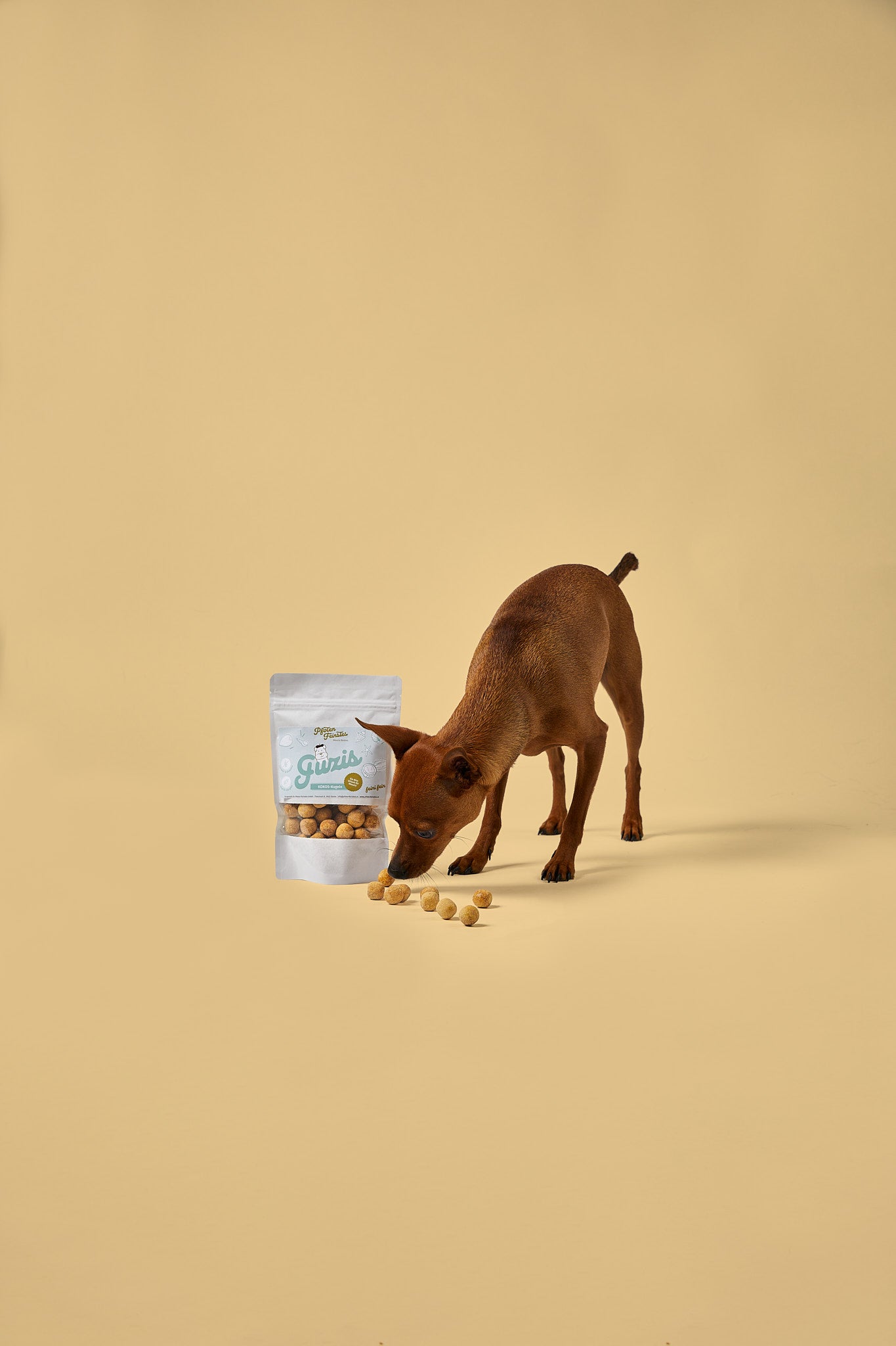Natürlicher Hundesnack mit Kokos – kleine Belohnung für Training und Alltag