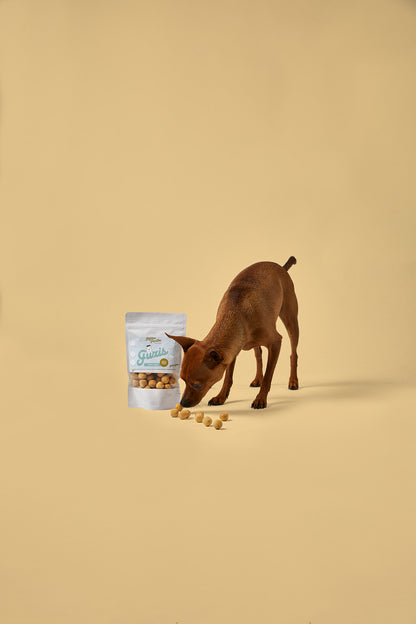 Natürlicher Hundesnack mit Kokos – kleine Belohnung für Training und Alltag