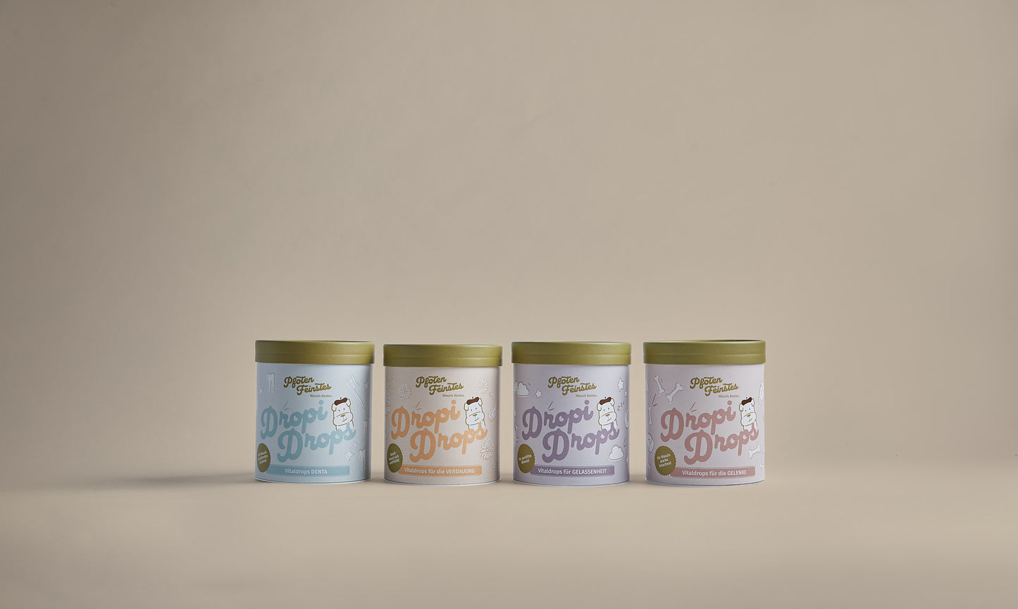 Ergänzungsfutter für Hunde – natürliche Unterstützung für Gelenkgesundheit und Aktivität